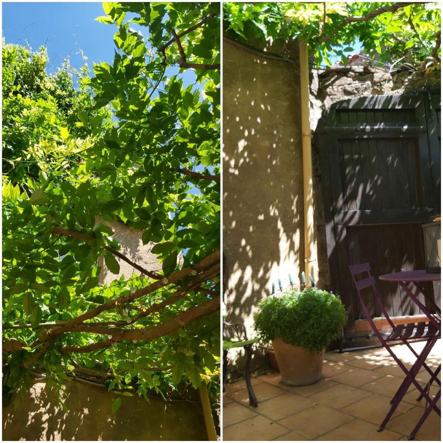 Le Chateau Camps-sur-l'Agly Esterno foto