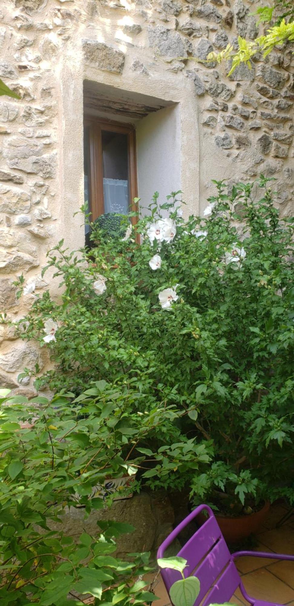 Le Chateau Camps-sur-l'Agly Esterno foto